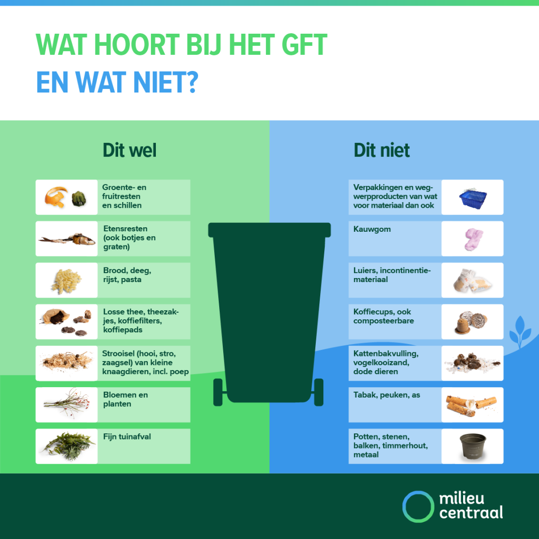 gft infographic