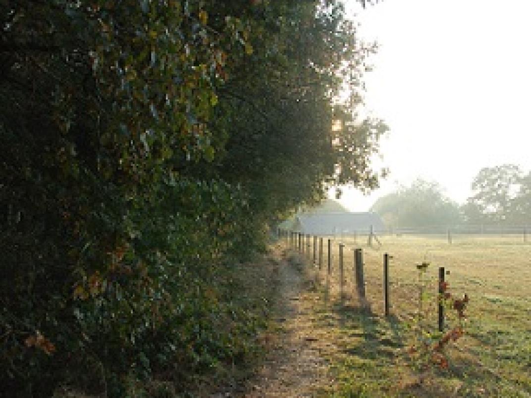 Bosrandenbeheer - Smelenhof