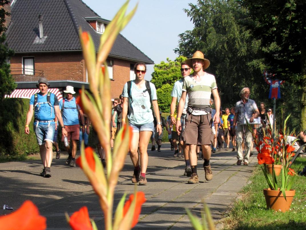 Vierdaagse wandelaars door Gennep