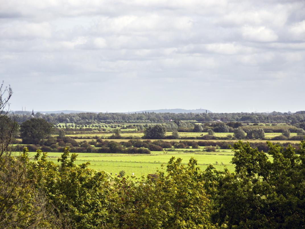 Een groen en blauw dooraderd landschap in vogelvlucht