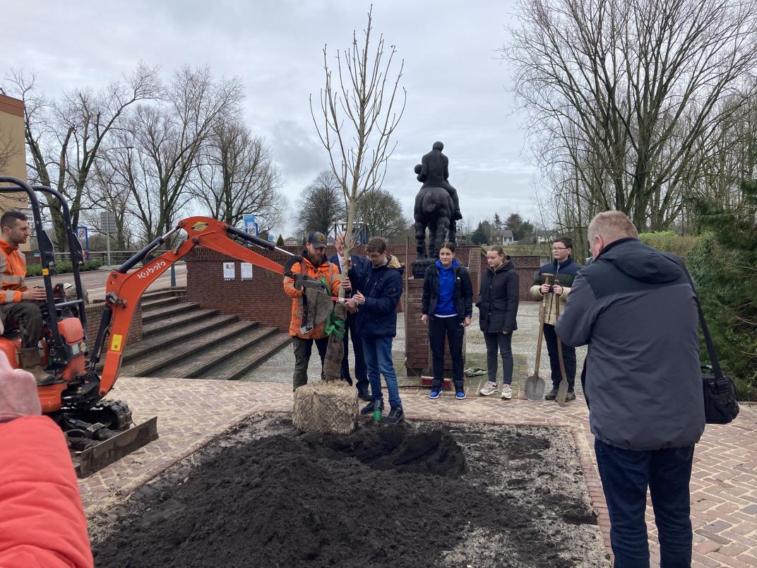 Leerlingen planten boom