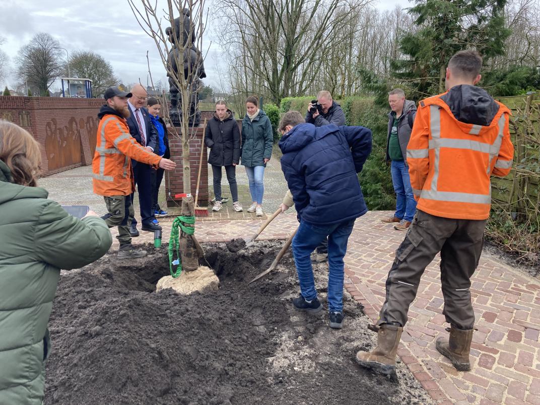 Leerlingen planten boom