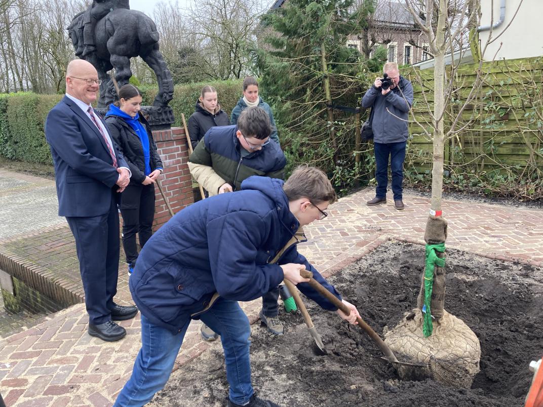 Leerlingen planten boom