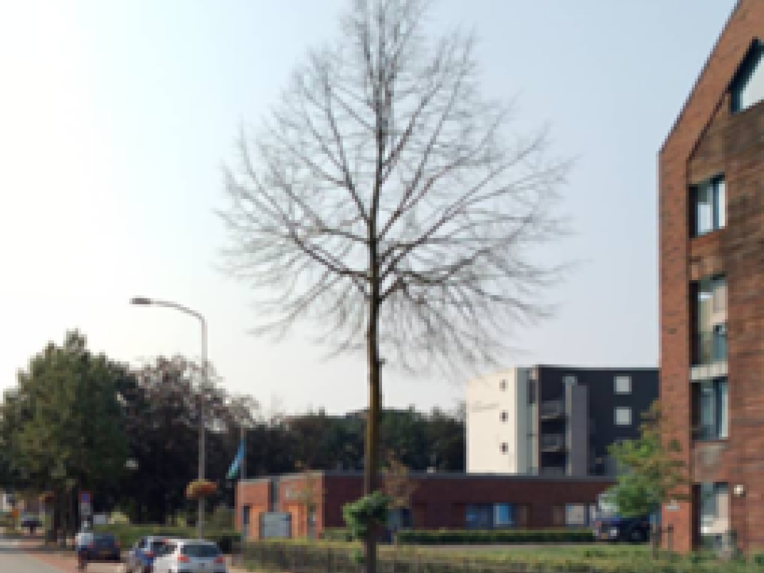 Linde spoorstraat