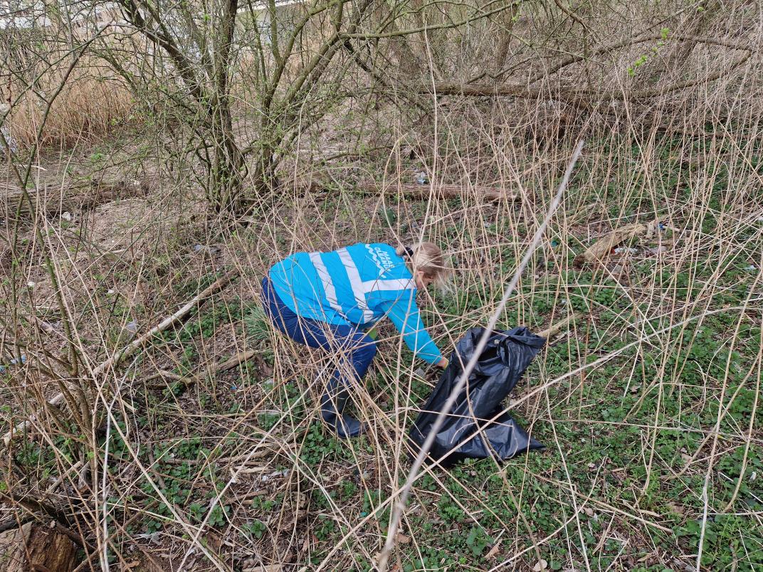 maas cleanup