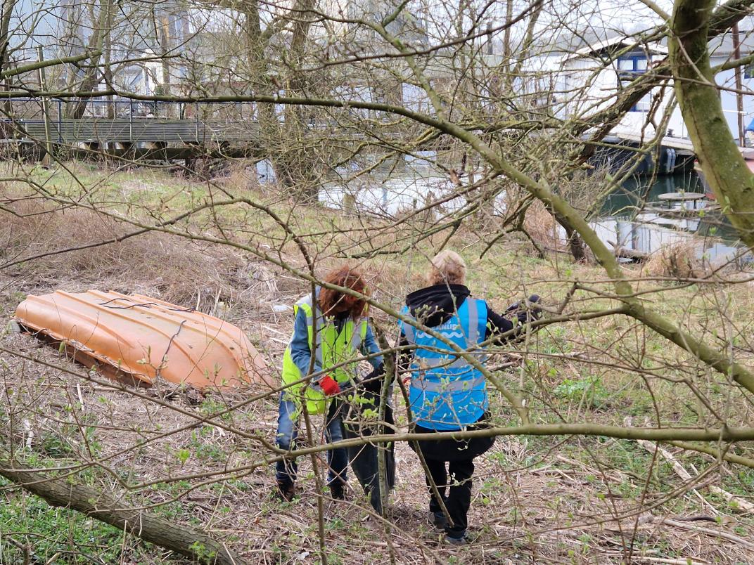 maas cleanup