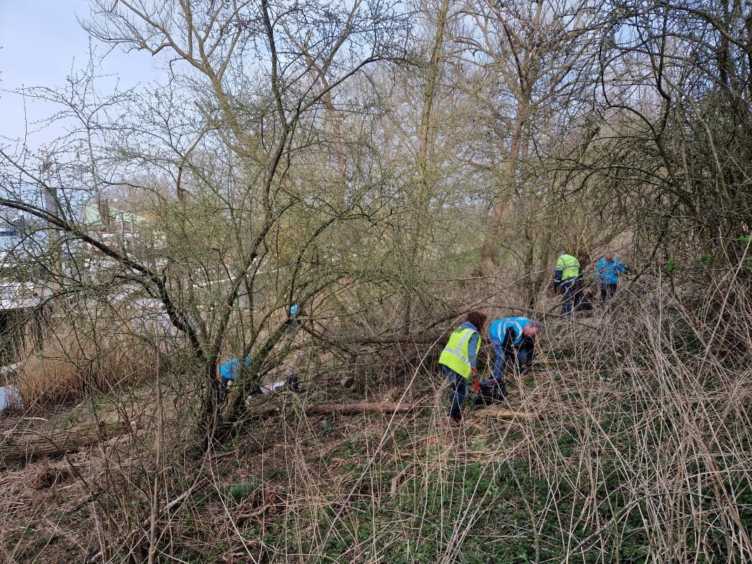 maas cleanup