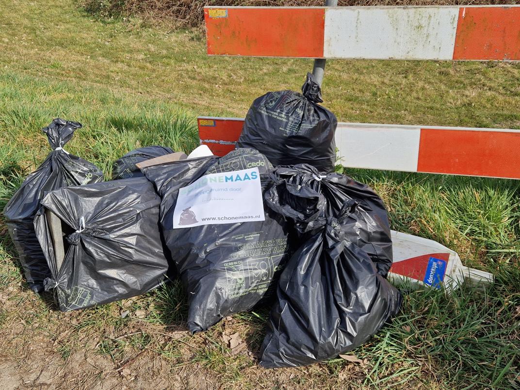 maas cleanup