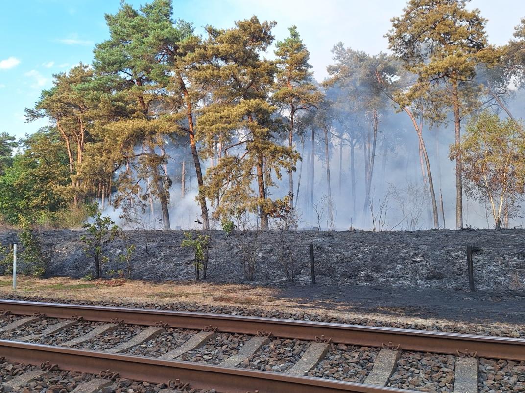 brand vlak bij het spoor