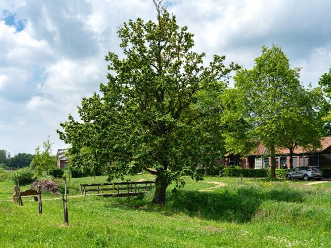 Tree tags boom 